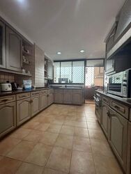 Elizabeth Heights (D9), Condominium #629824481